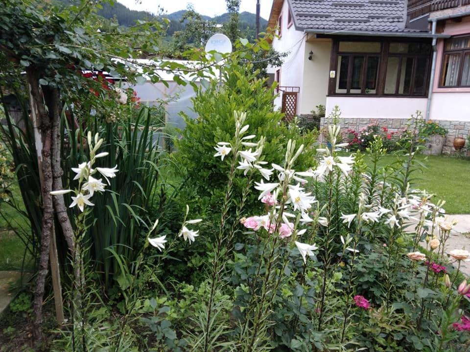 ネホイウCasa Feticアパートメント エクステリア 写真
