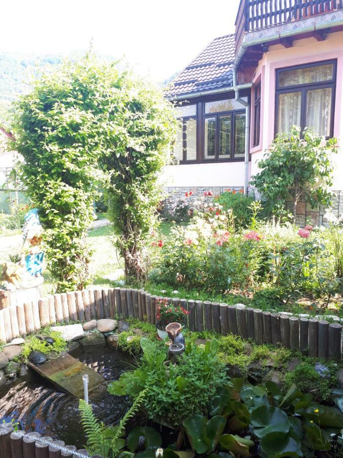 ネホイウCasa Feticアパートメント エクステリア 写真
